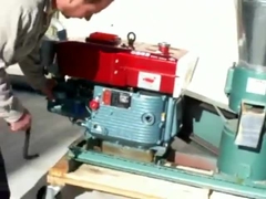 पोल्ट्री फीड पेलेट बनाने के लिए डीजल इंजन पशु चारा पेलेट मिल