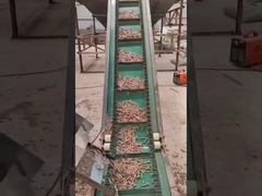 50HZ रिंग डाई वुड पेलेट मशीन 3फेज वर्टिकल पेलेट मेकिंग मशीन 450-700mm