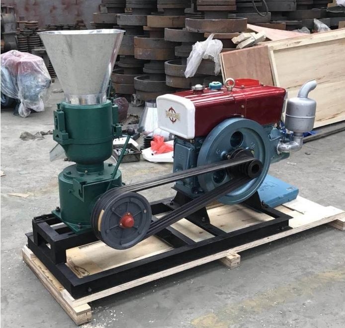 22HP फ़ीड पेलेट मिल चिकन फ़ीड के लिए रंग अनुकूलन