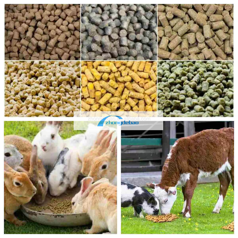 नई पीढ़ी की पशु फ़ीड बनाने की मशीन मछली फ़ीड पेलेट मशीन 90-120 KG/H फ़ीड पेलेट मिल