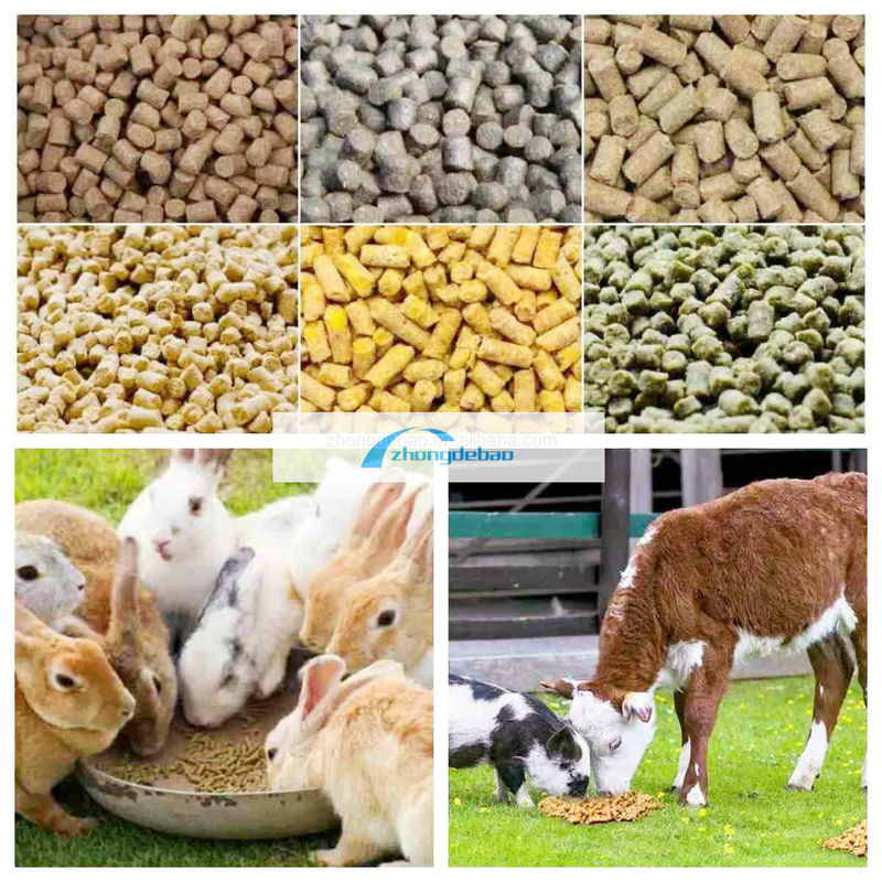 600-800 KG/H आउटपुट मछली पशु फ़ीड मिल कुत्ते और बिल्लियों के लिए फ़ीड गोली उपकरण खाद्य extruder pelletizer मशीन