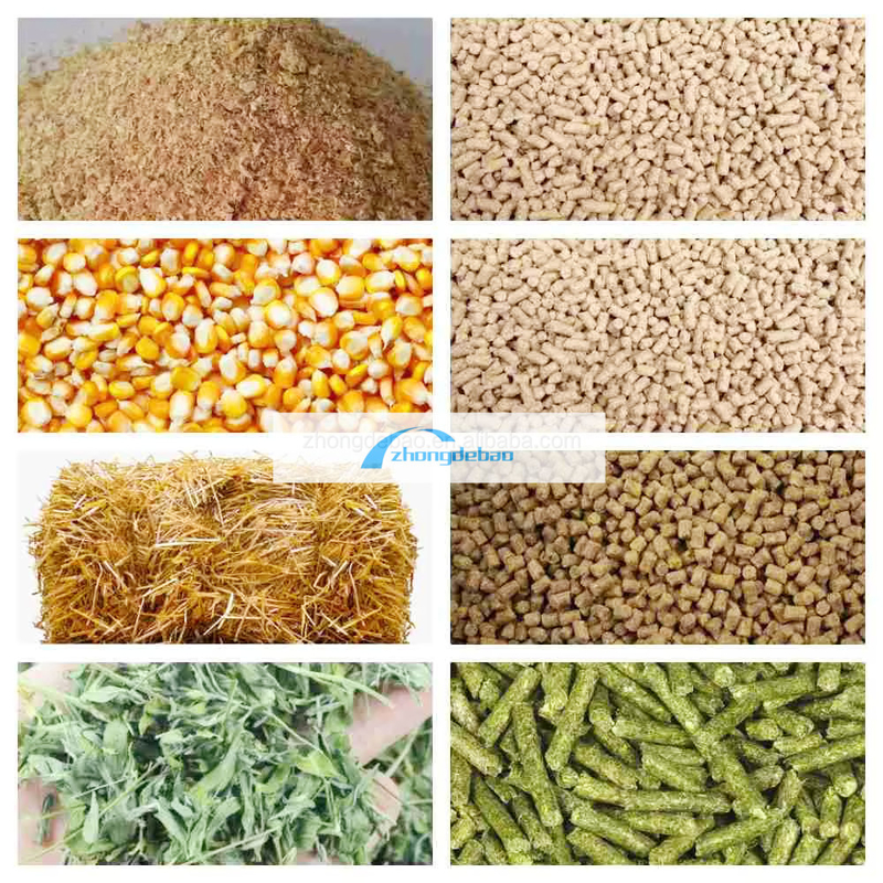 600-800 KG/H आउटपुट मछली पशु फ़ीड मिल कुत्ते और बिल्लियों के लिए फ़ीड गोली उपकरण खाद्य extruder pelletizer मशीन